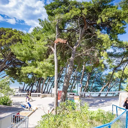 Beachfront Tide Srzic Апартаменты *